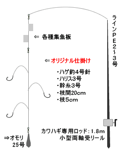 カワハギのタックル