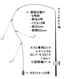 えさ政釣船店の メバル のタックルと釣り方