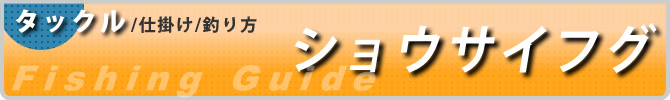 仕掛けと釣り方_ショウサイフグ