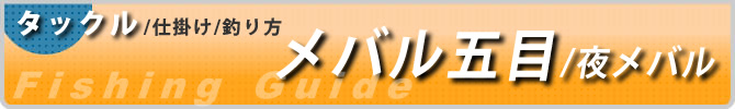 仕掛けと釣り方_メバル_カサゴ_夜メバル