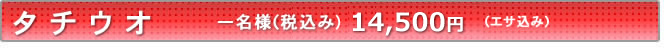 タチウオ料金