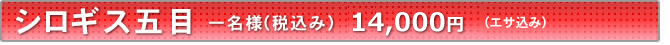 シロギス料金